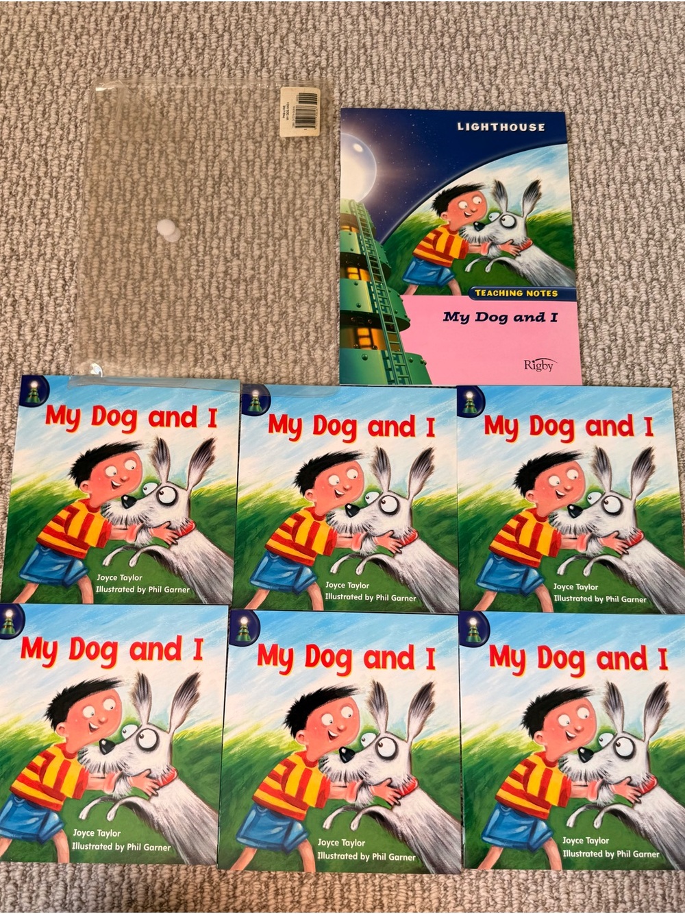 Rigby Lighthouse My Dog And I Reading Set – 6 Books + Teaching Notes